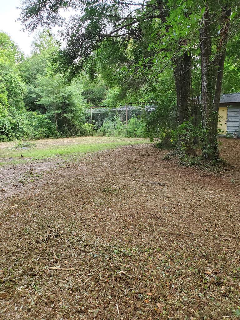 341 Deerfield Road Newton, AL 36352 - Photo 46 of 50