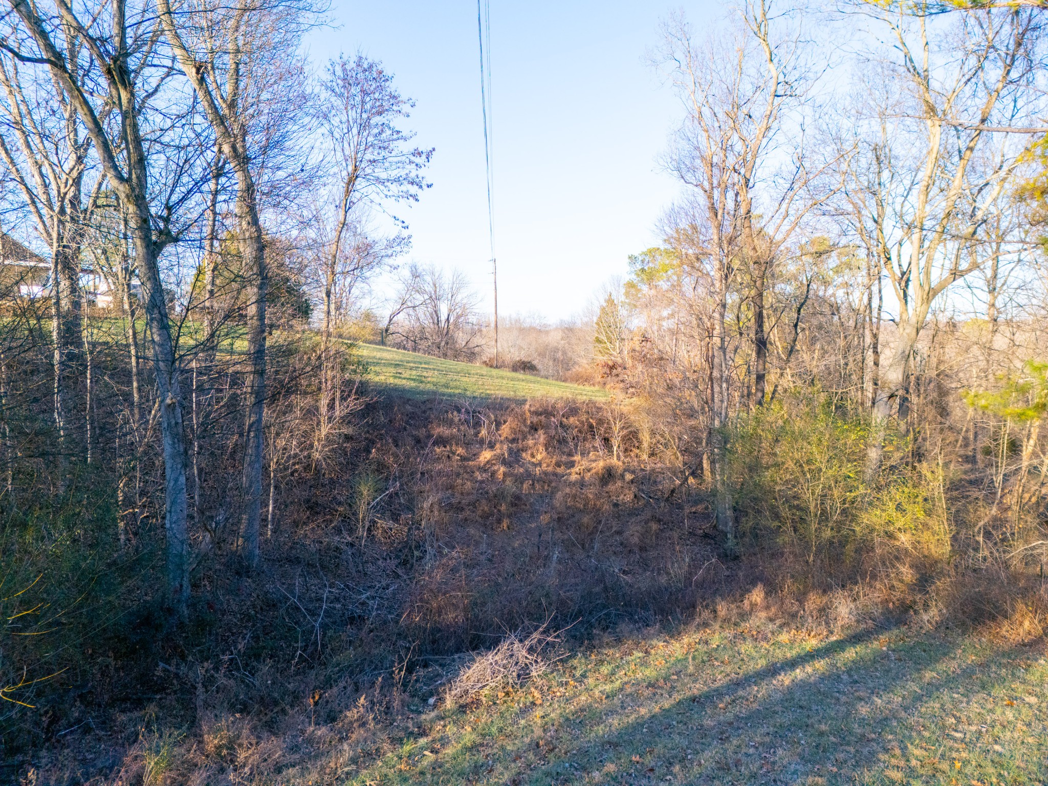 121 Mount Moriah Church Road Portland, TN 37148 - Photo 16 of 29 a view of a yard