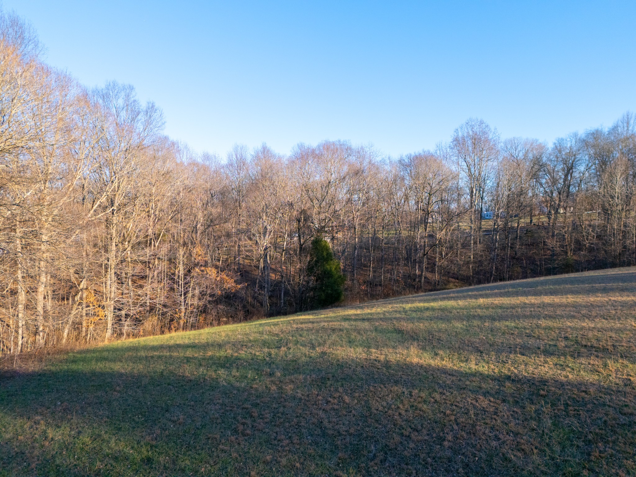 121 Mount Moriah Church Road Portland, TN 37148 - Photo 6 of 29 a view of a field with trees in background