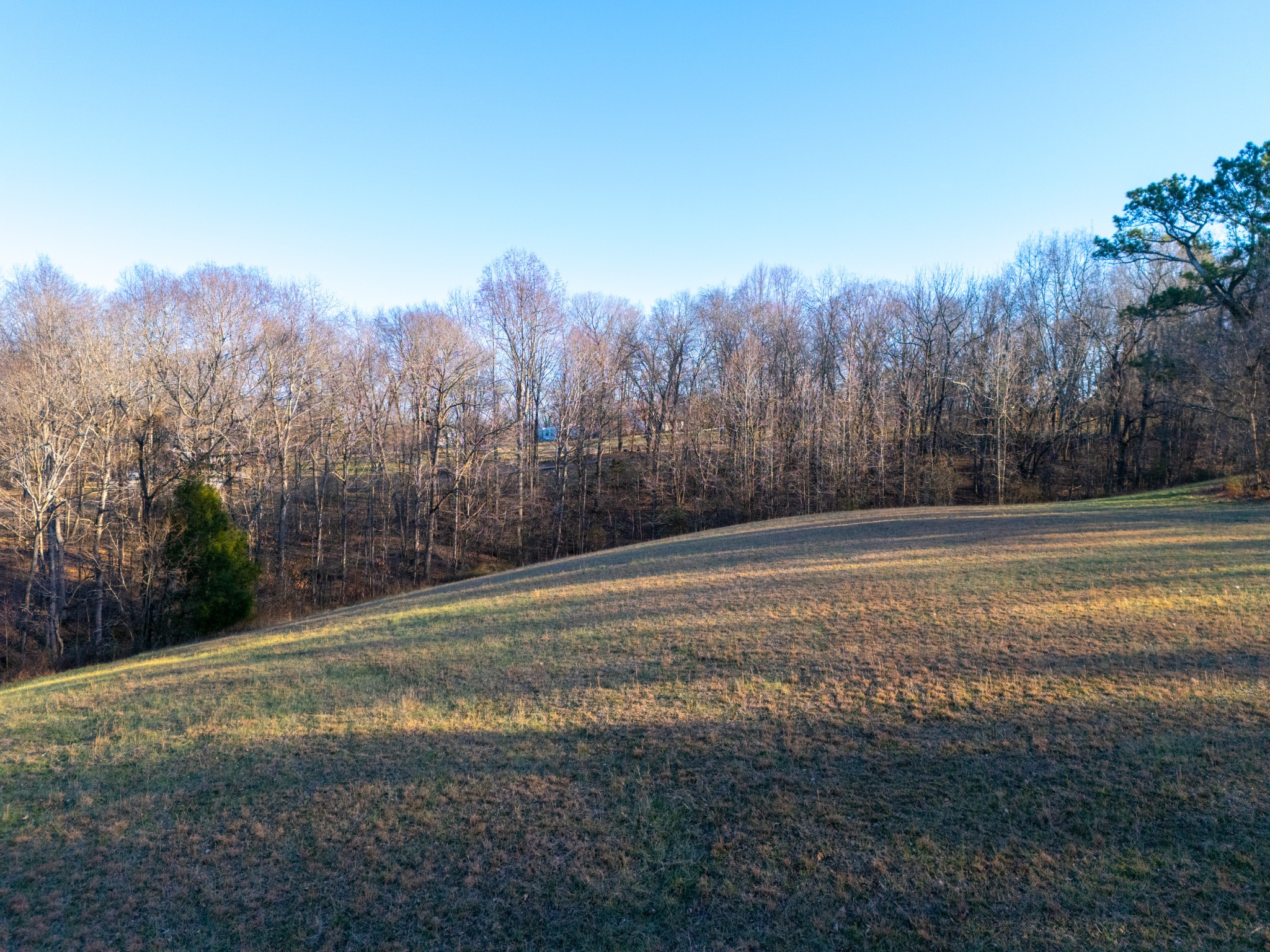 121 Mount Moriah Church Road Portland, TN 37148 - Photo 9 of 29 a view of a field with trees in front of it