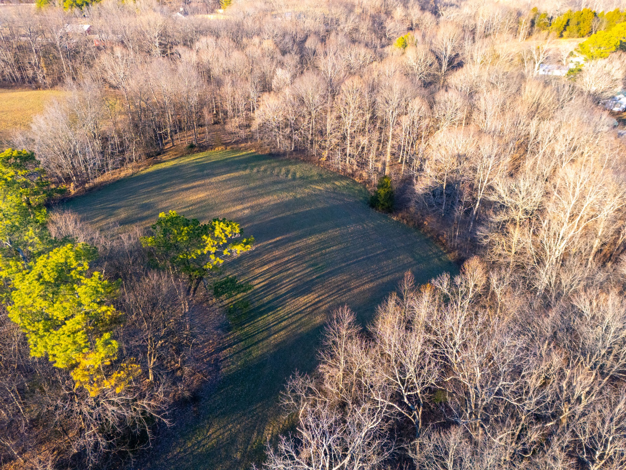 121 Mount Moriah Church Road Portland, TN 37148 - Photo 10 of 29 a view of a yard with wooden fence