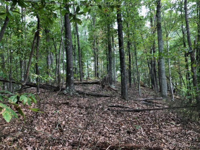 0 First Creek Road Ripley, WV 25271 - Photo 16 of 20 Gallery Image 16