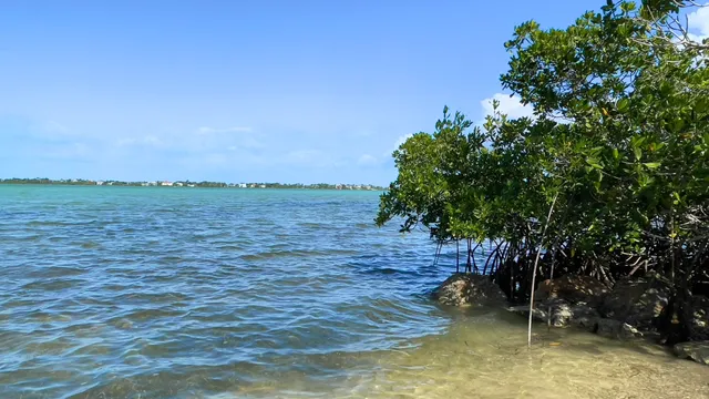 a view of a lake with outdoor space