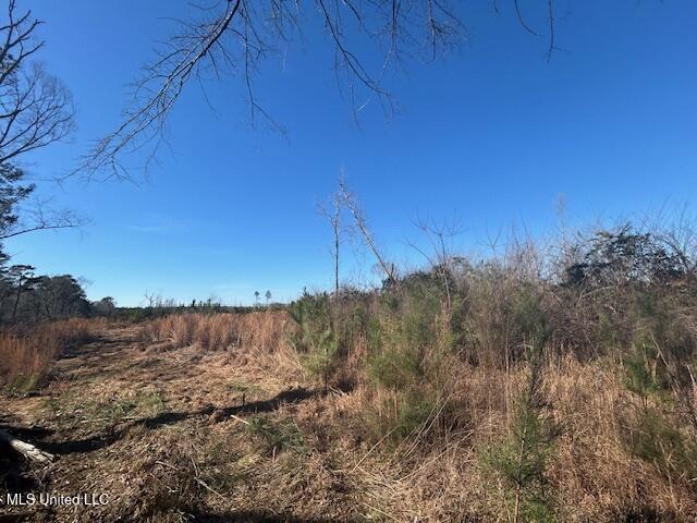 Jones Road Summit, MS 39666 - Photo 1 of 17 IMG_2861