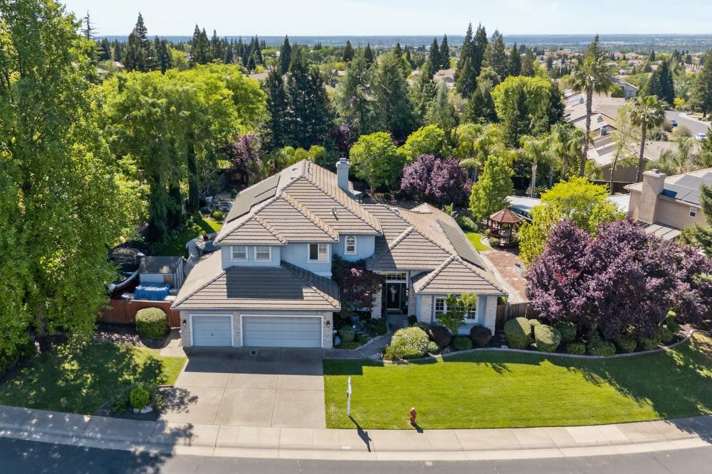 6504 Swallowsview Court Rocklin, CA 95677 - Photo 63 of 66 an aerial view of a house with a yard potted plants and large tree