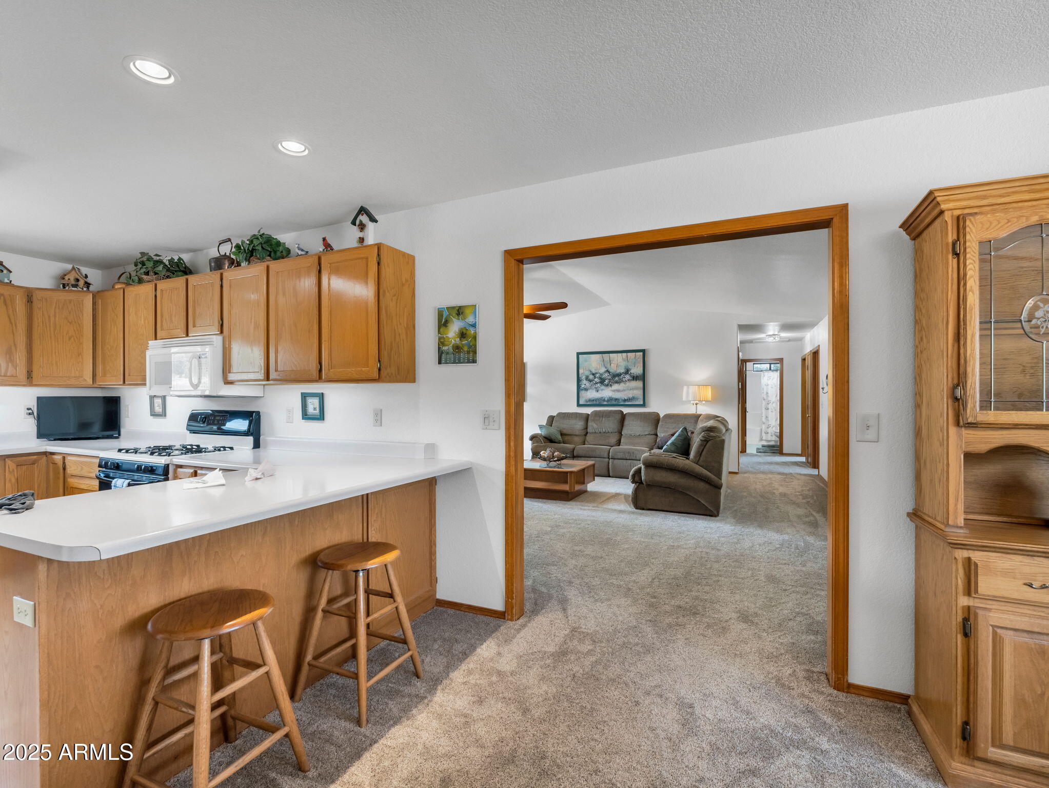 5545 East Atkinson Road Flagstaff, AZ 86004 - Photo 19 of 55 20-web-or-mls-TimberCreekImagery-53
