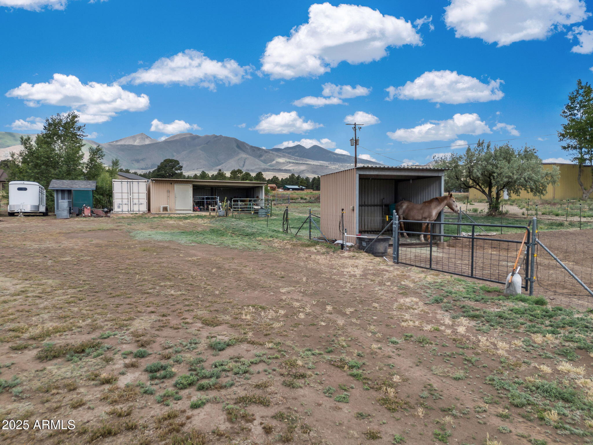 5545 East Atkinson Road Flagstaff, AZ 86004 - Photo 40 of 55 a view of a backyard