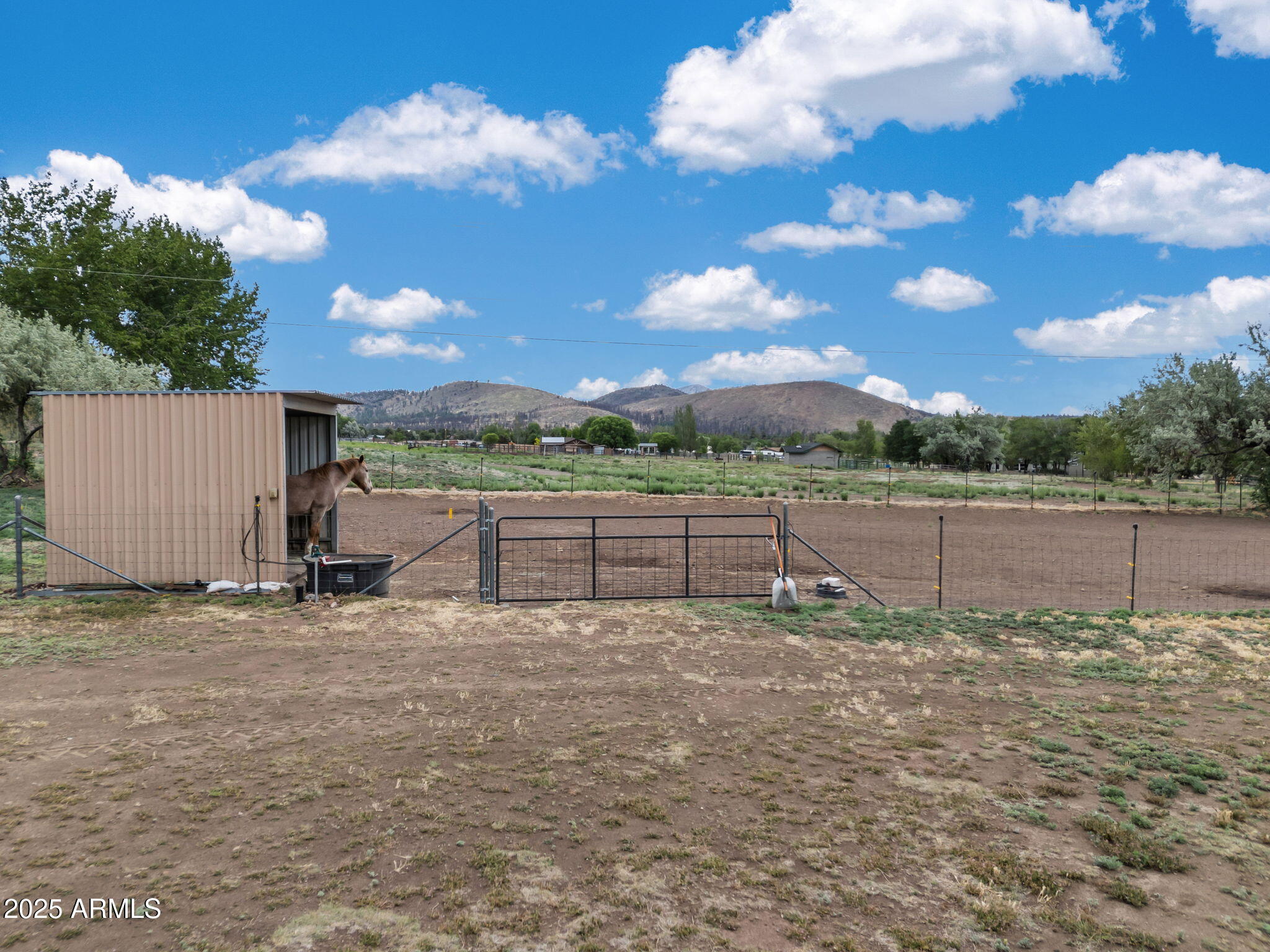 5545 East Atkinson Road Flagstaff, AZ 86004 - Photo 41 of 55 a view of a yard with wooden fence
