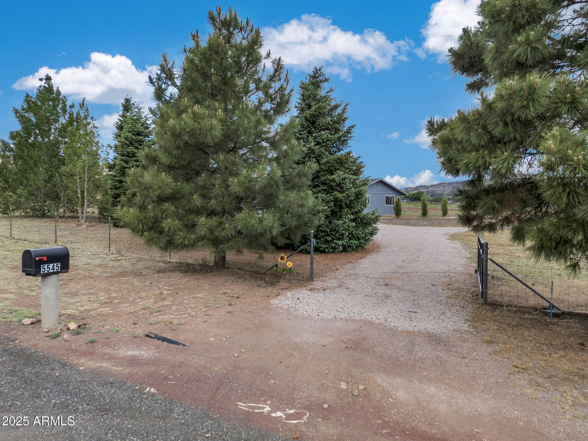 5545 East Atkinson Road Flagstaff, AZ 86004 - Photo 46 of 55 a view of a yard with a tree