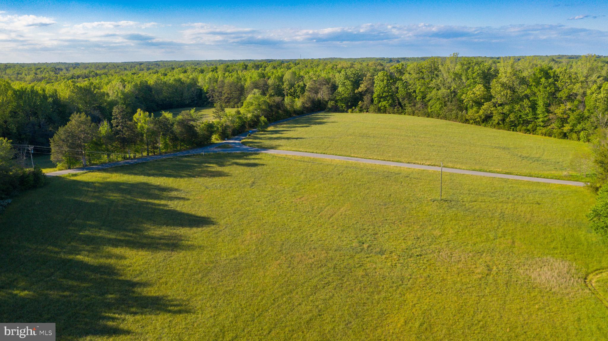 0 Trivette Road Beaverdam, VA 23015 - Photo 8 of 45
