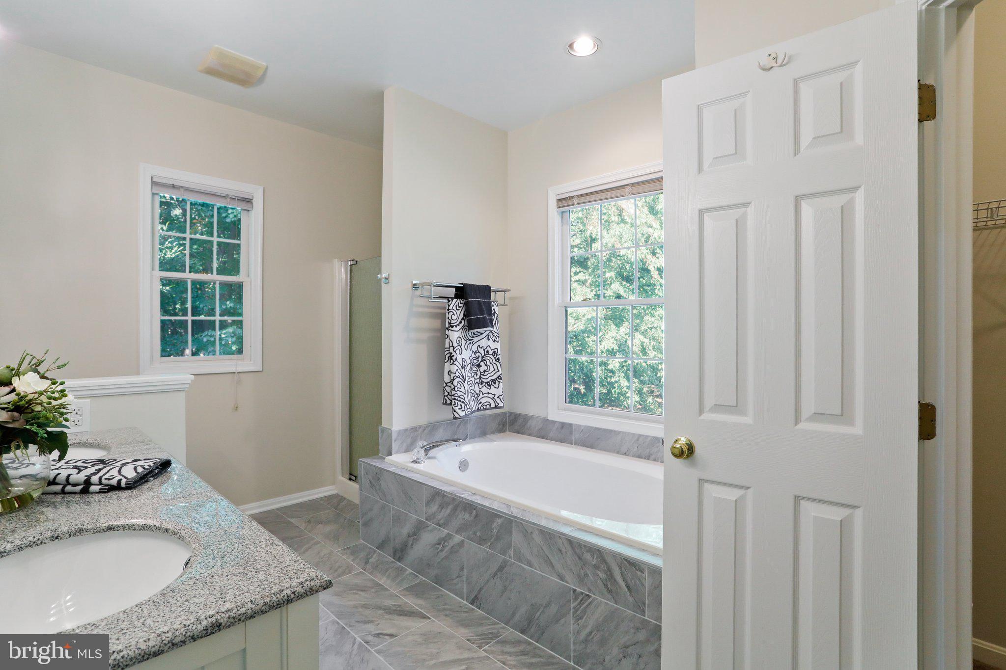 15078 Frederick Road Woodbine, MD 21797 - Photo 28 of 75 Master Bath w/ Soaking tub
