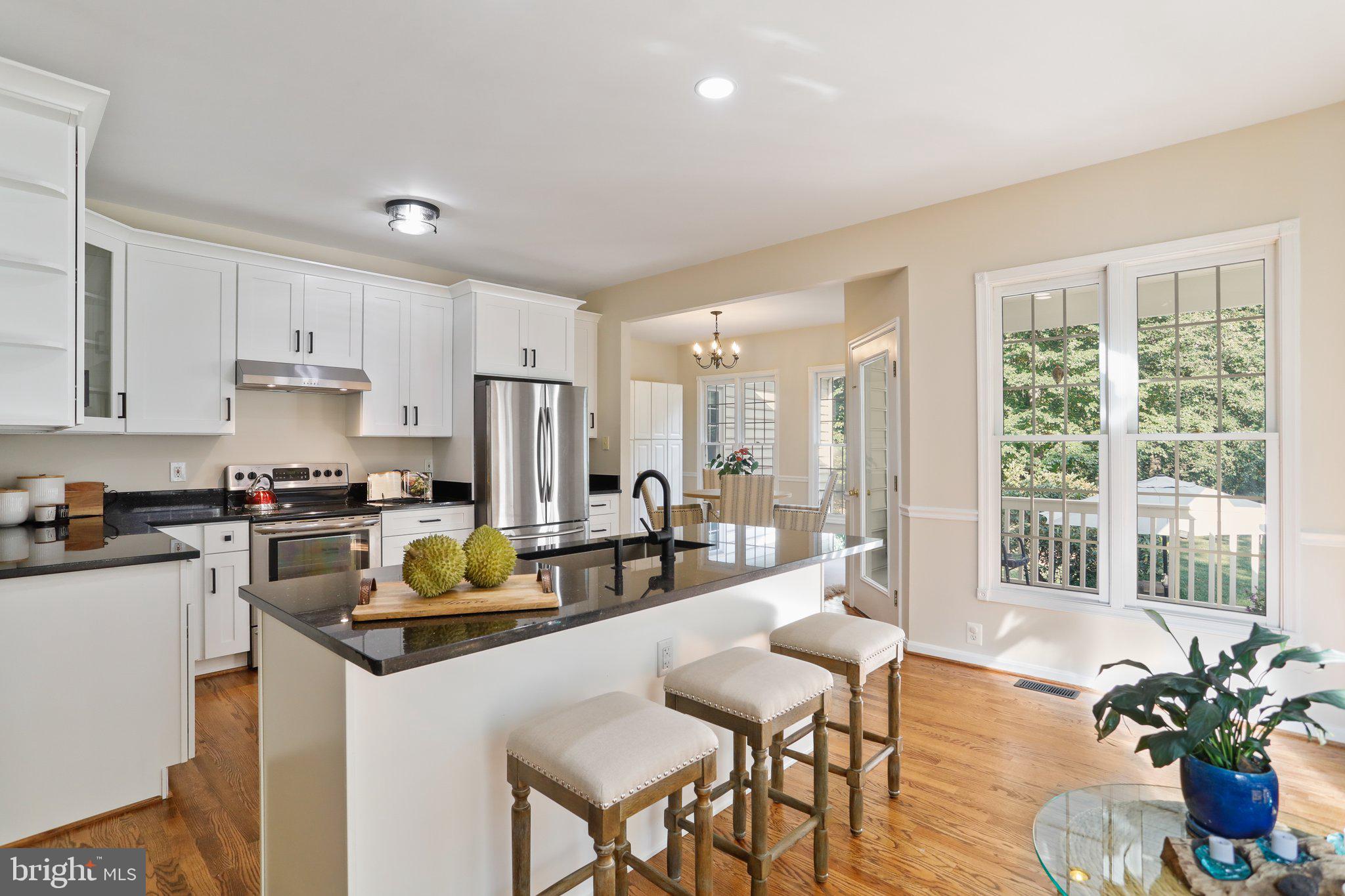 15078 Frederick Road Woodbine, MD 21797 - Photo 3 of 75 Newly updated Kitchen!