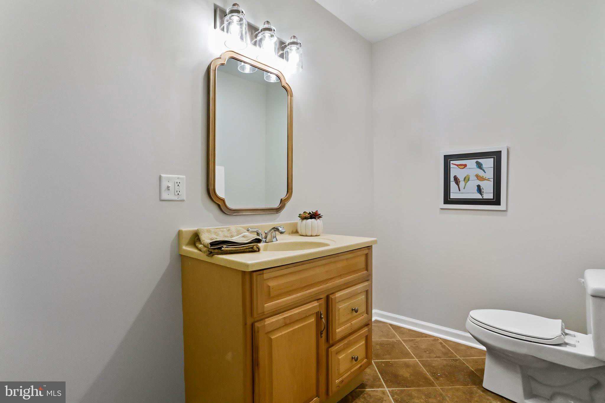 15078 Frederick Road Woodbine, MD 21797 - Photo 50 of 75 Large Lower Level bath with shower and sauna