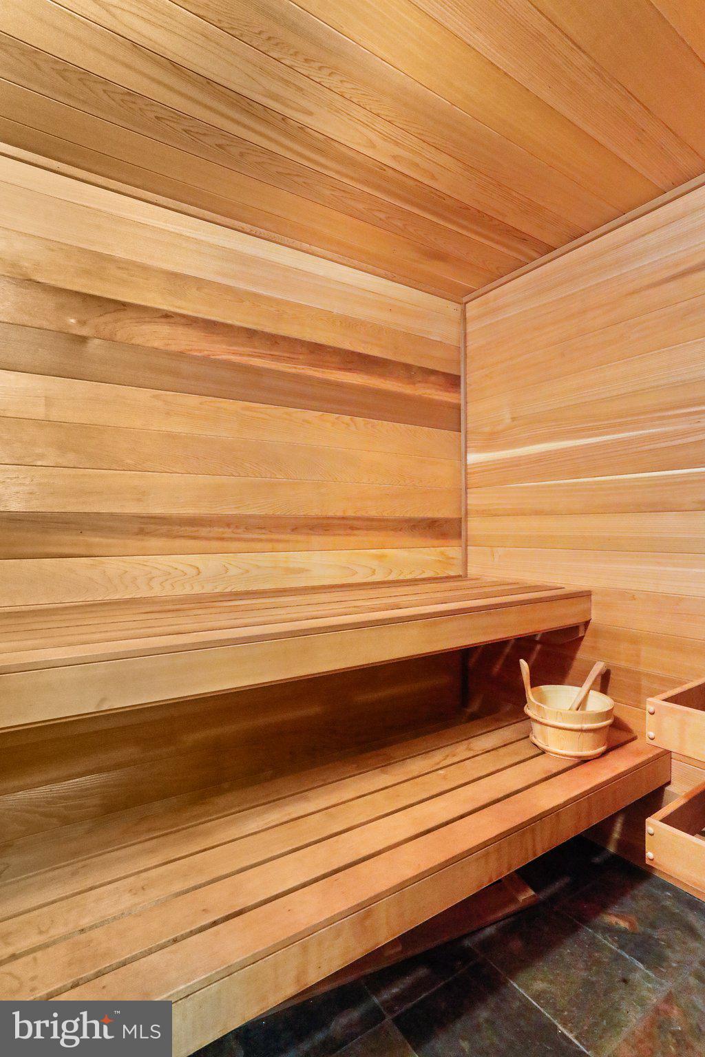 15078 Frederick Road Woodbine, MD 21797 - Photo 52 of 75 Large Lower Level bath with shower and sauna