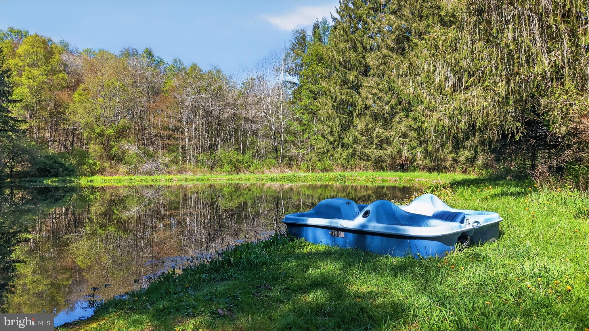 259 A A-Frame Road Coudersport, PA 16915 - Photo 110 of 130 Serene pondside escape awaits you.