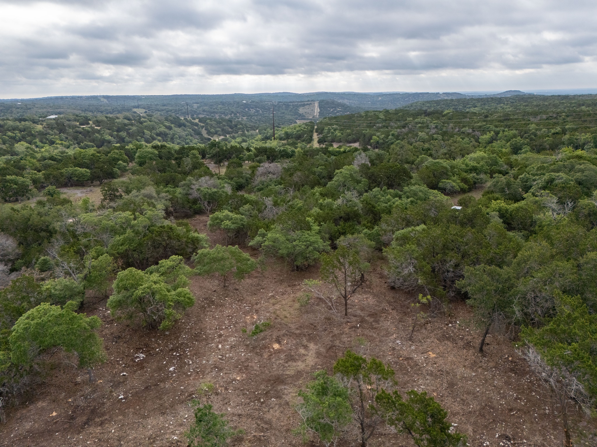-altwein Rd 17.91 Acres Altwein Road Blanco, TX 78606 - Photo 13 of 33 a view of a forest with trees in the background
