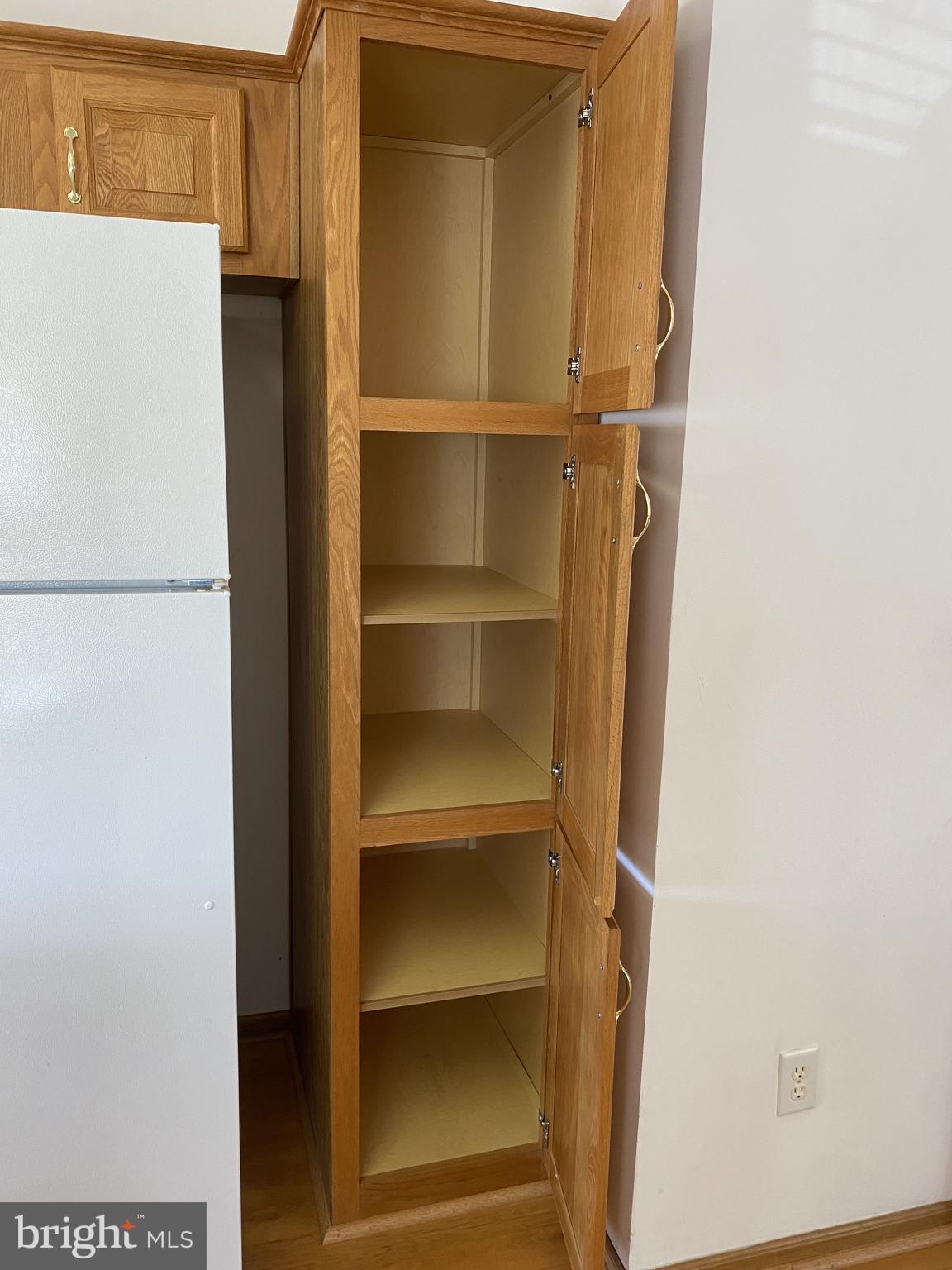 600 Audrey Drive Dover, DE 19901 - Photo 17 of 30 Additional pantry space