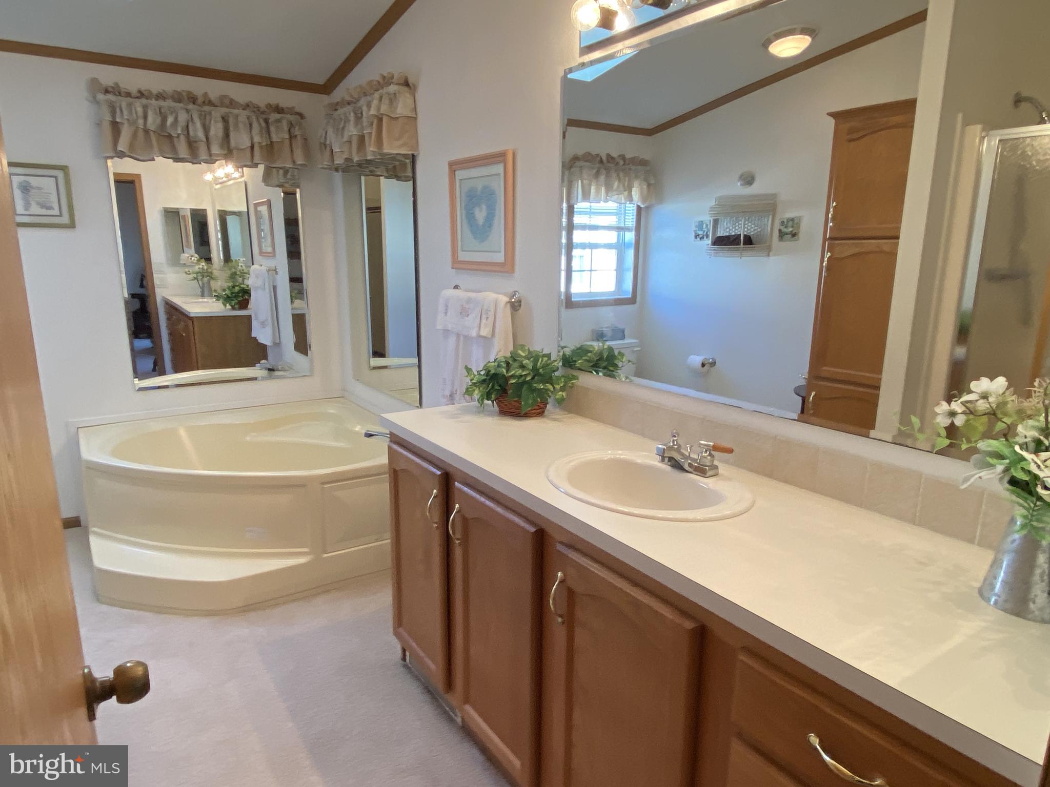 600 Audrey Drive Dover, DE 19901 - Photo 22 of 30 Lots of counter space and a large soaking tub