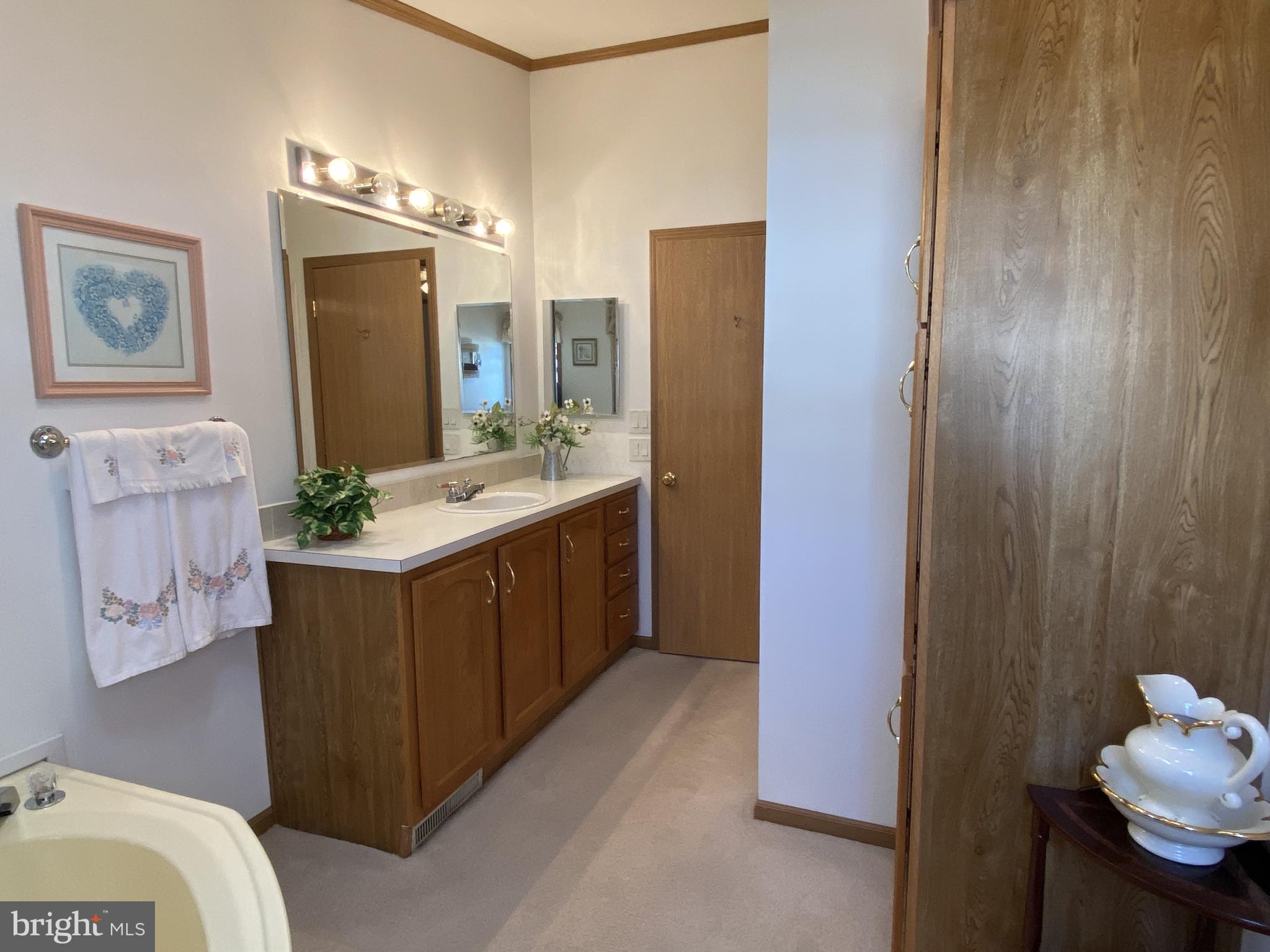 600 Audrey Drive Dover, DE 19901 - Photo 24 of 30 Primary bath