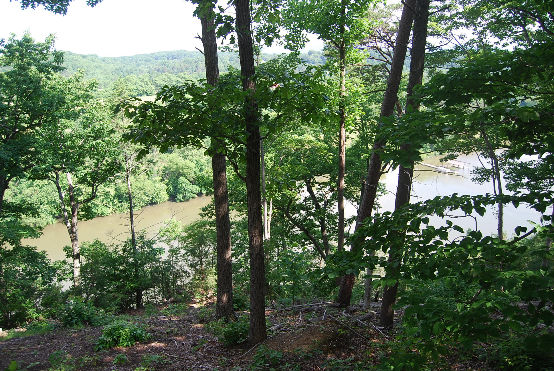 8045 Hardy Road Hardy, VA 24101 - Photo 2 of 63 a view of a forest with trees