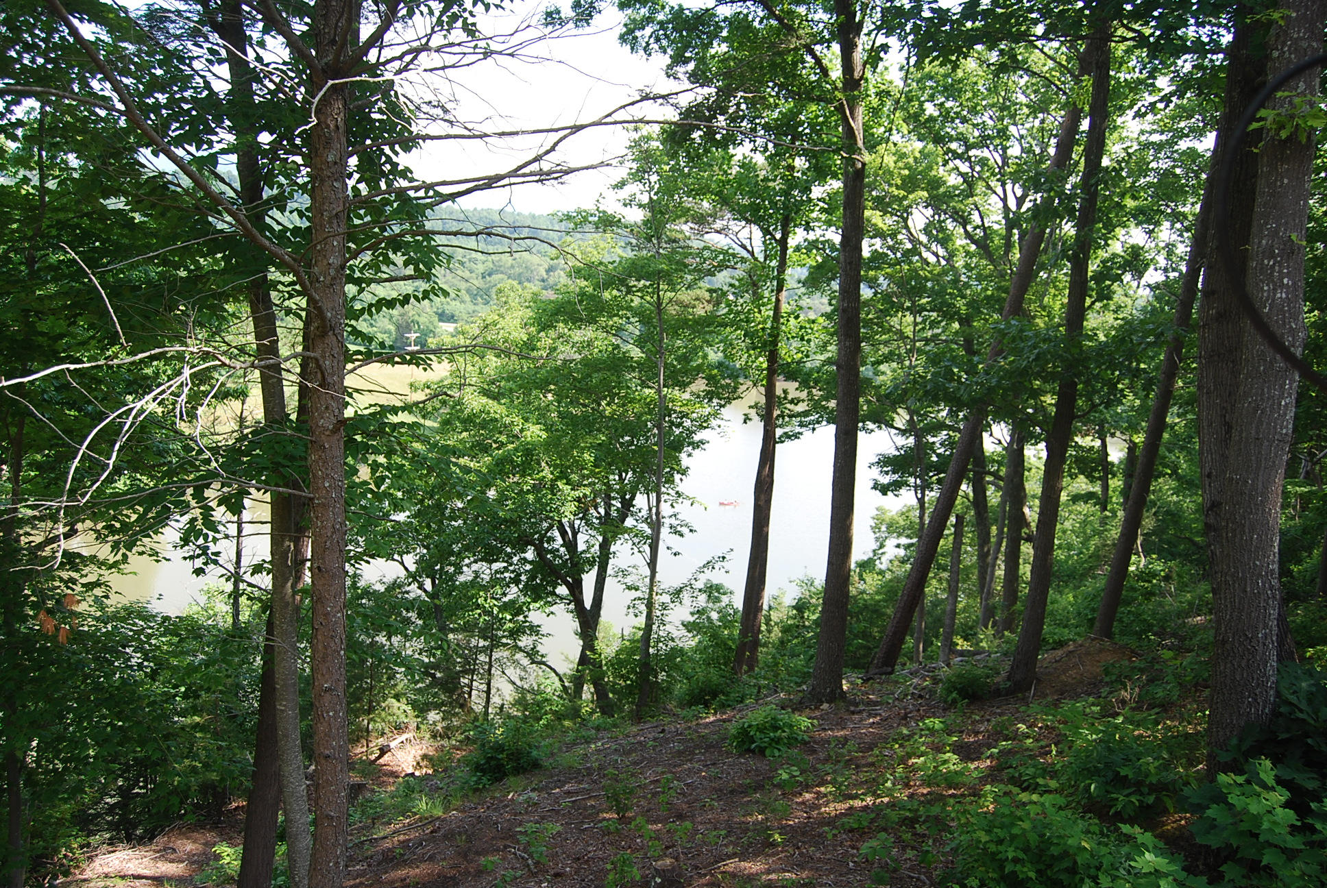 8045 Hardy Road Hardy, VA 24101 - Photo 11 of 63 324