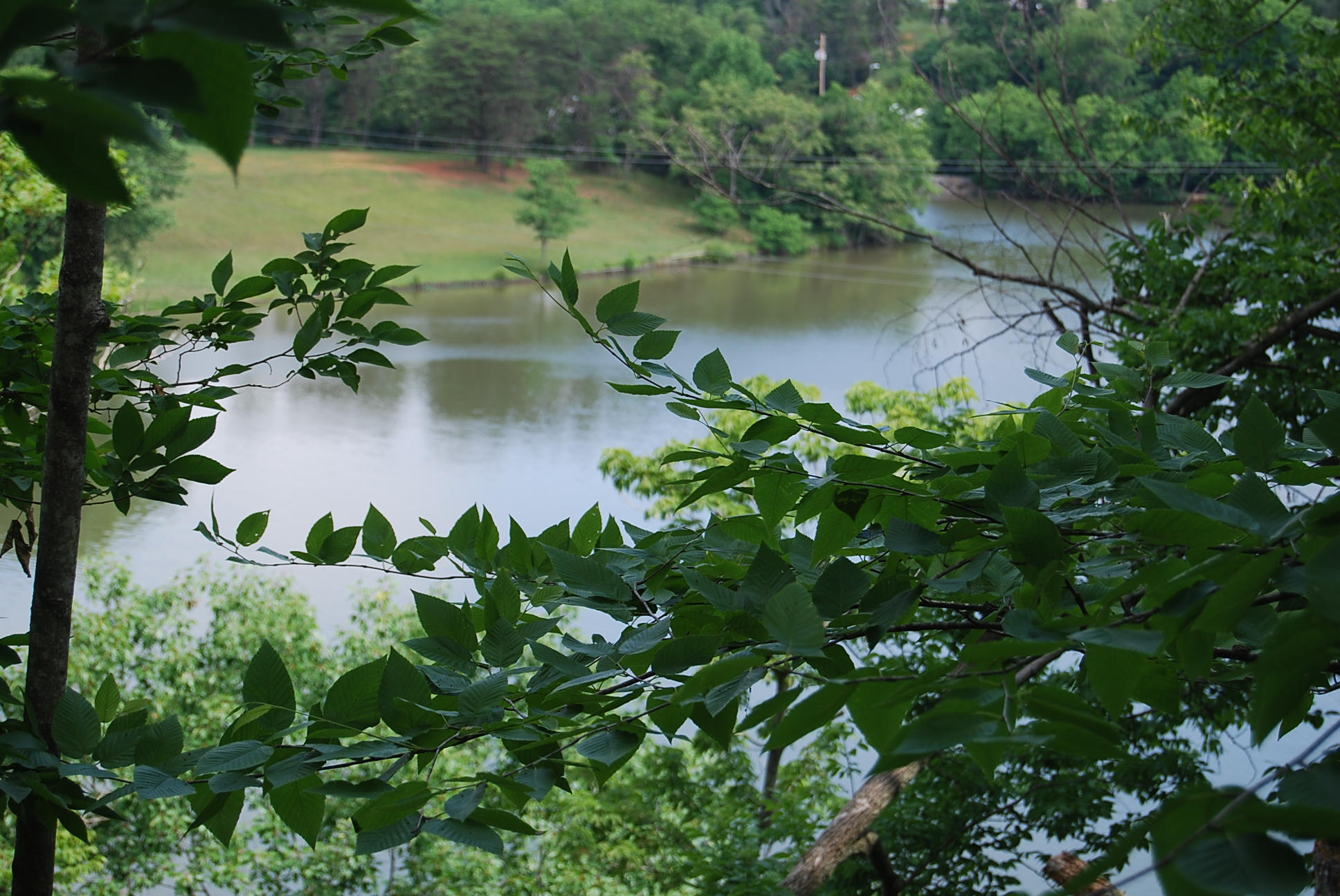 8045 Hardy Road Hardy, VA 24101 - Photo 47 of 63 a view of a garden with a lake