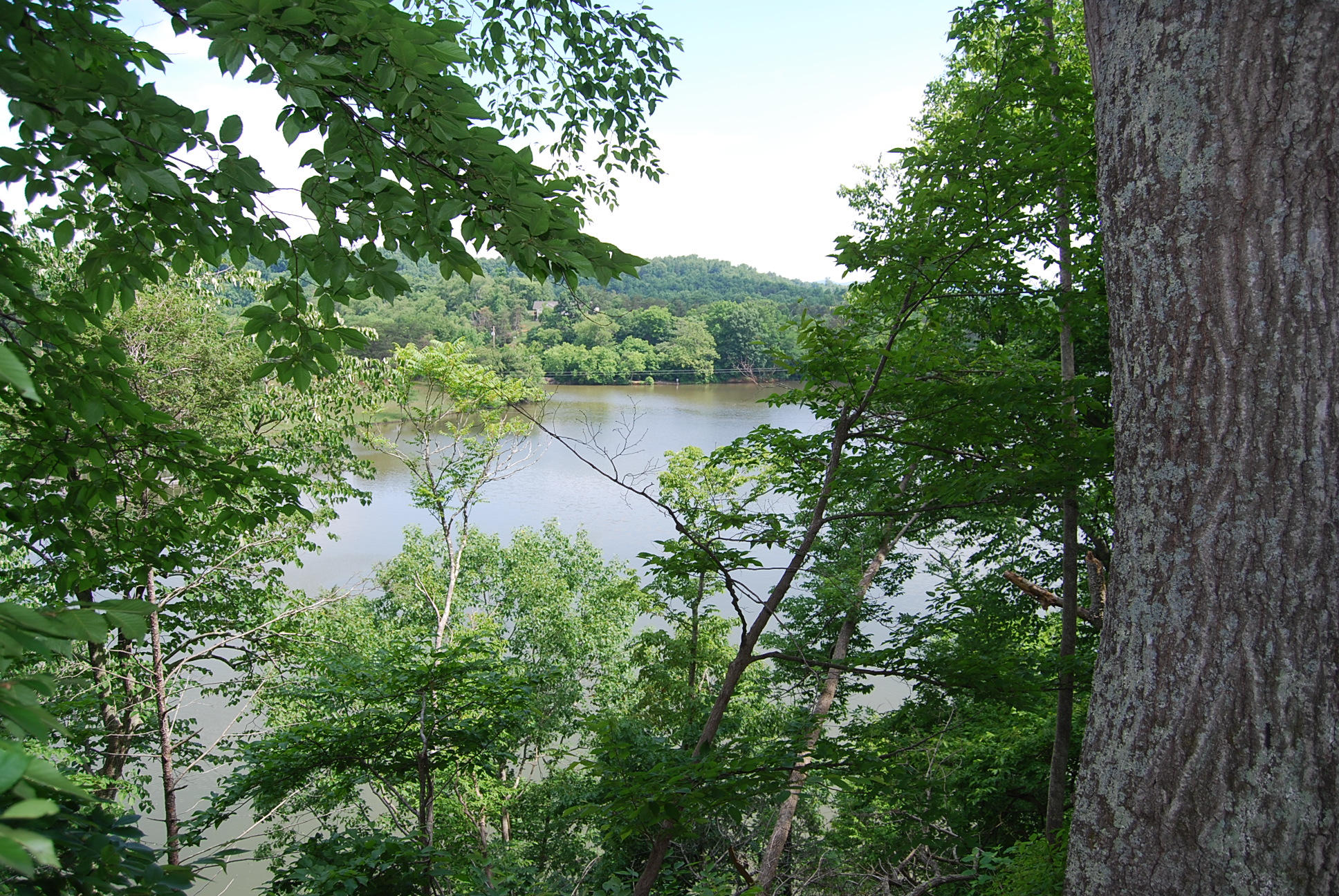 8045 Hardy Road Hardy, VA 24101 - Photo 49 of 63 361
