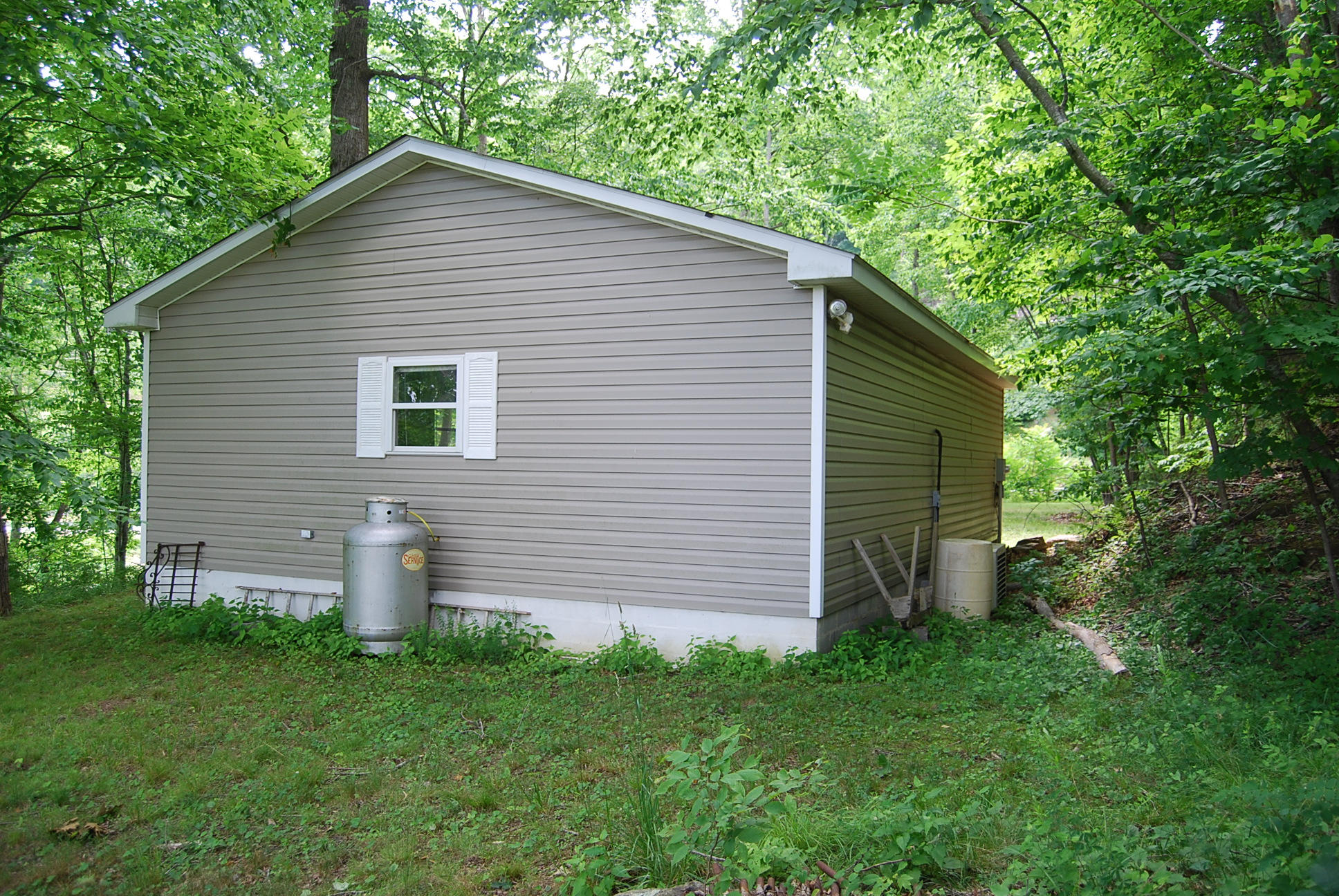 8045 Hardy Road Hardy, VA 24101 - Photo 50 of 63 a view of a backyard with plants and large tree