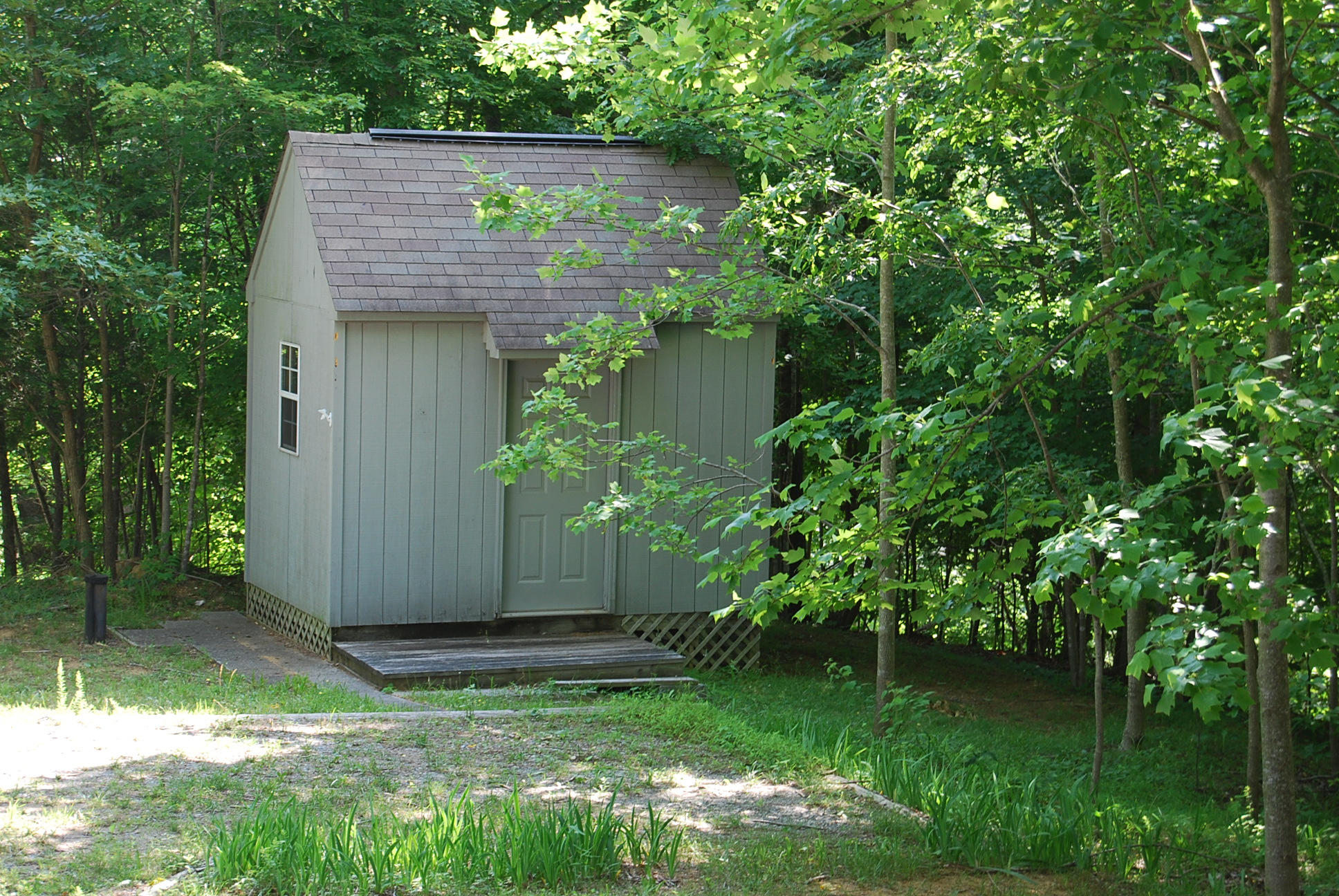 8045 Hardy Road Hardy, VA 24101 - Photo 6 of 63 a view of a backyard with plants