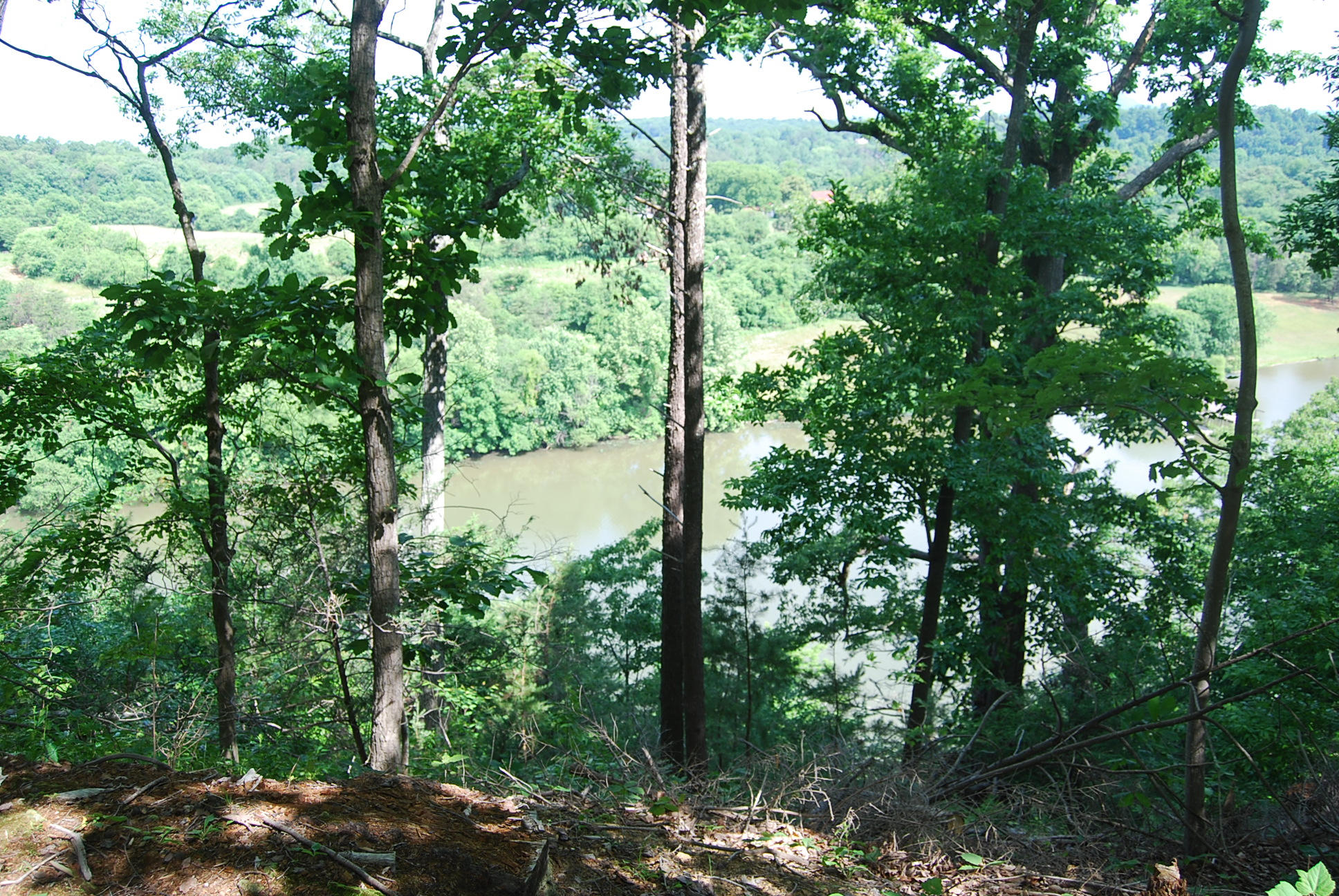 8045 Hardy Road Hardy, VA 24101 - Photo 8 of 63 320