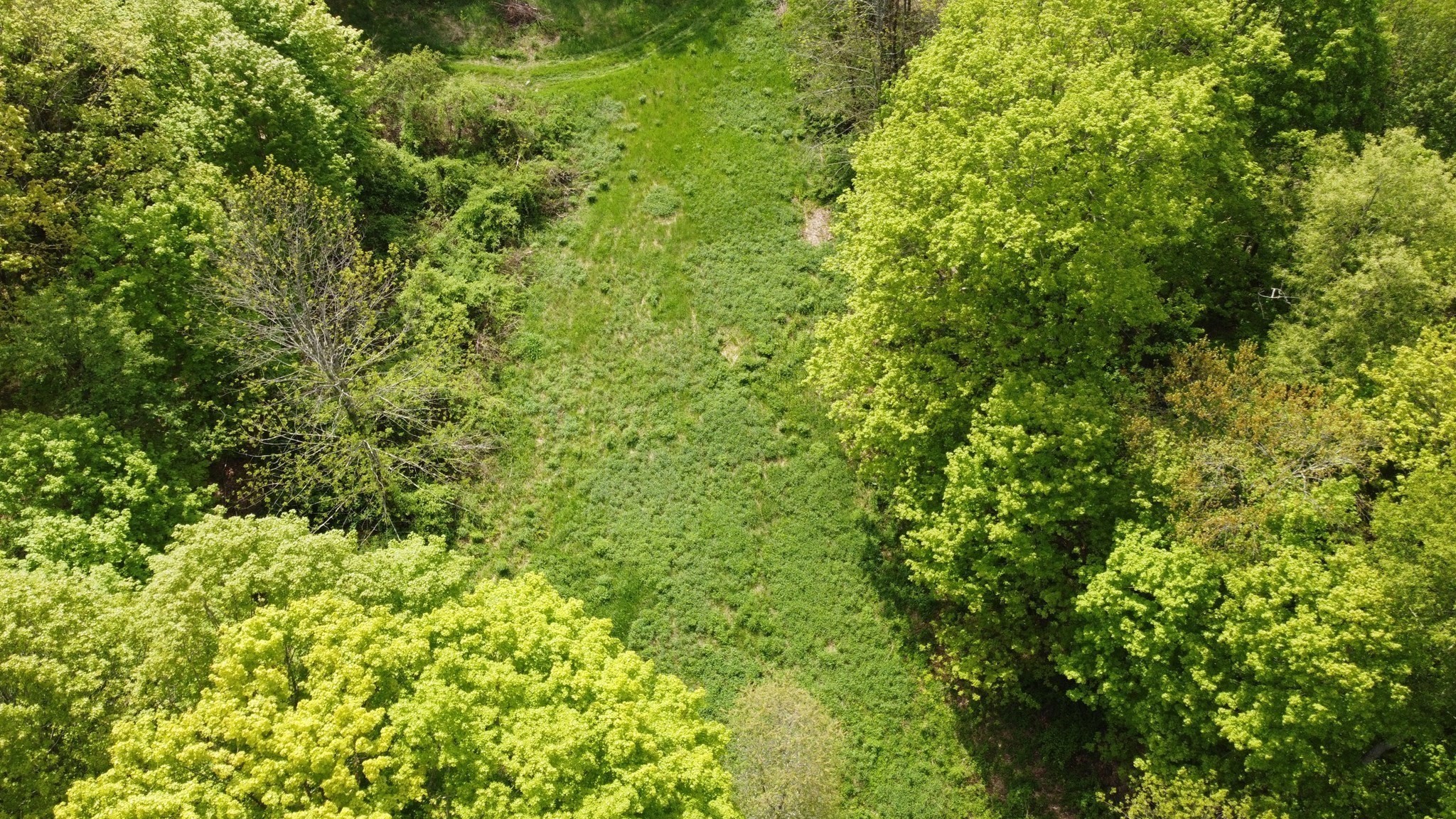 0 Jackson Road Hardwick, MA 01037 - Photo 6 of 9 Gallery Image 6
