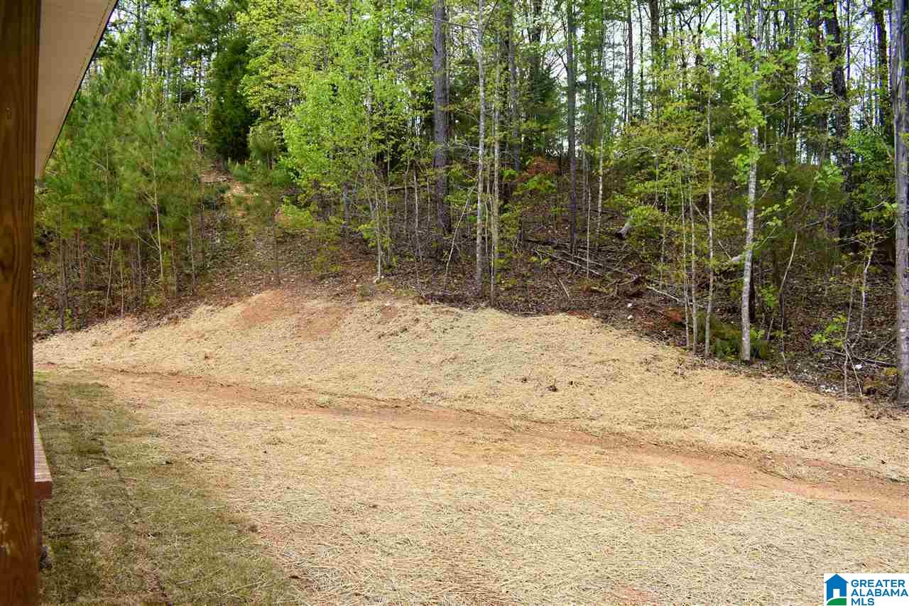 237 Kingbird Lane Remlap, AL 35133 - Photo 27 of 31
