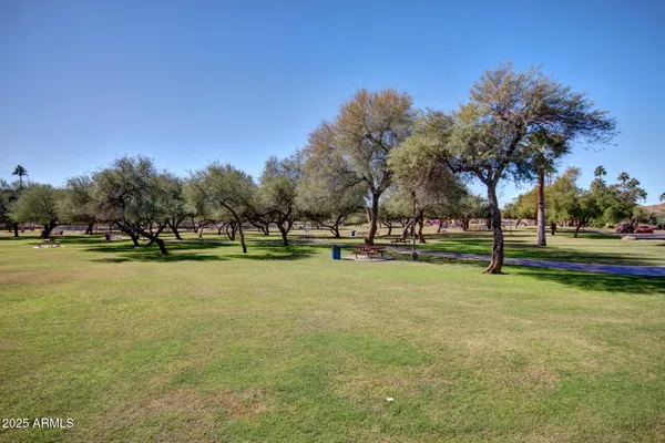 a view of swimming pool with trees