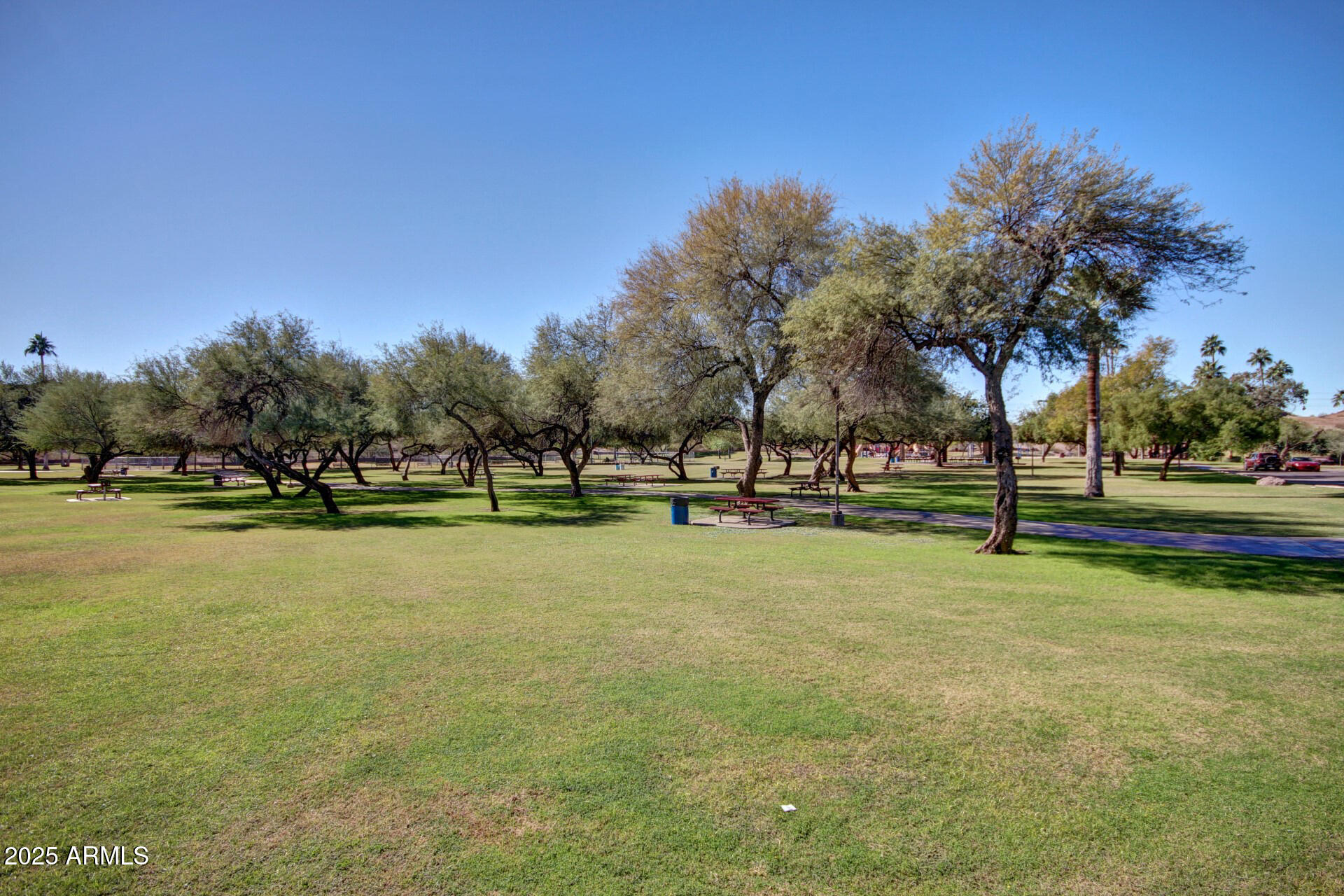 609 East Mesquite Circle, Unit D131 Tempe, AZ 85288 - Photo 23 of 39 a view of swimming pool with trees