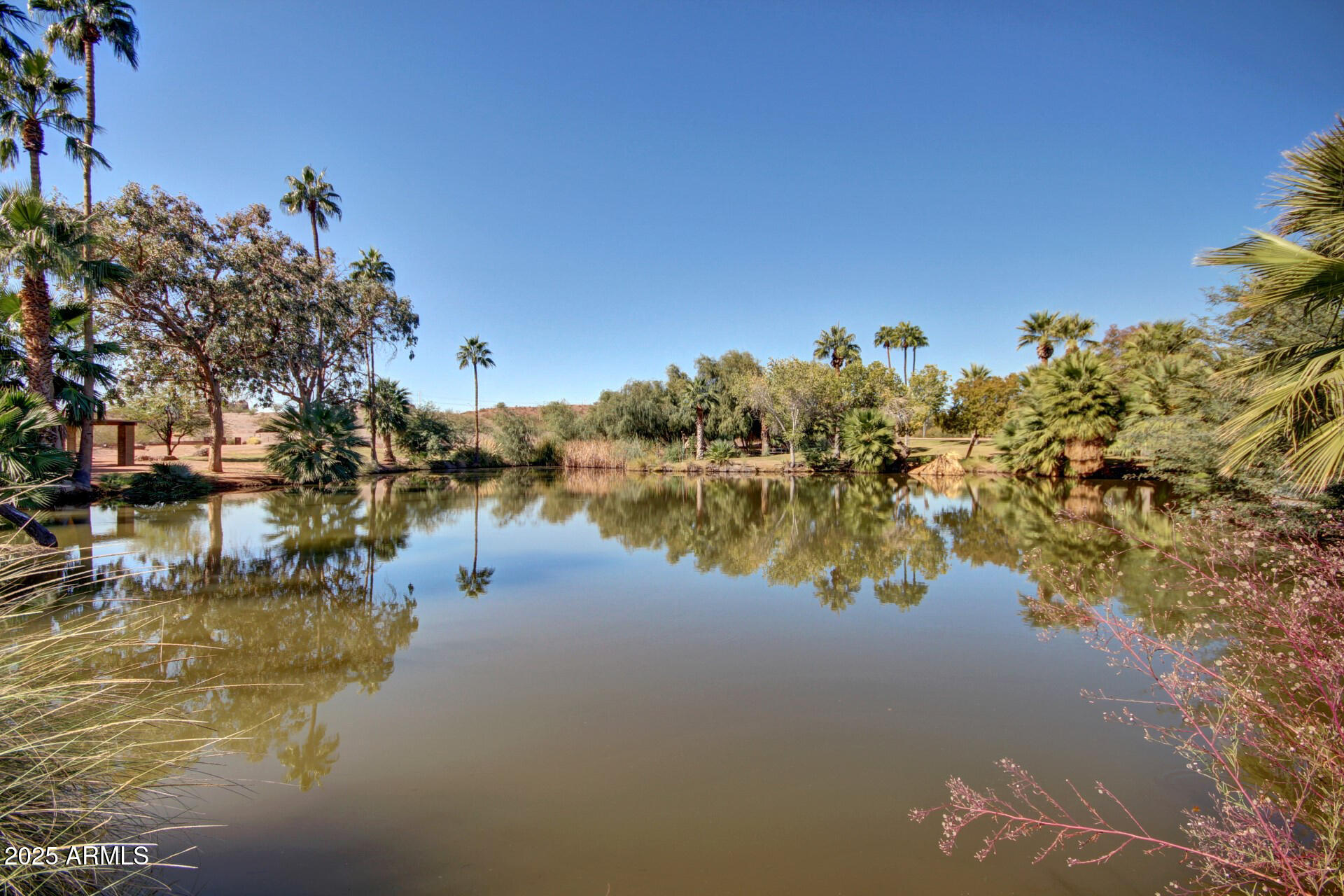609 East Mesquite Circle, Unit D131 Tempe, AZ 85288 - Photo 26 of 39 a view of lake