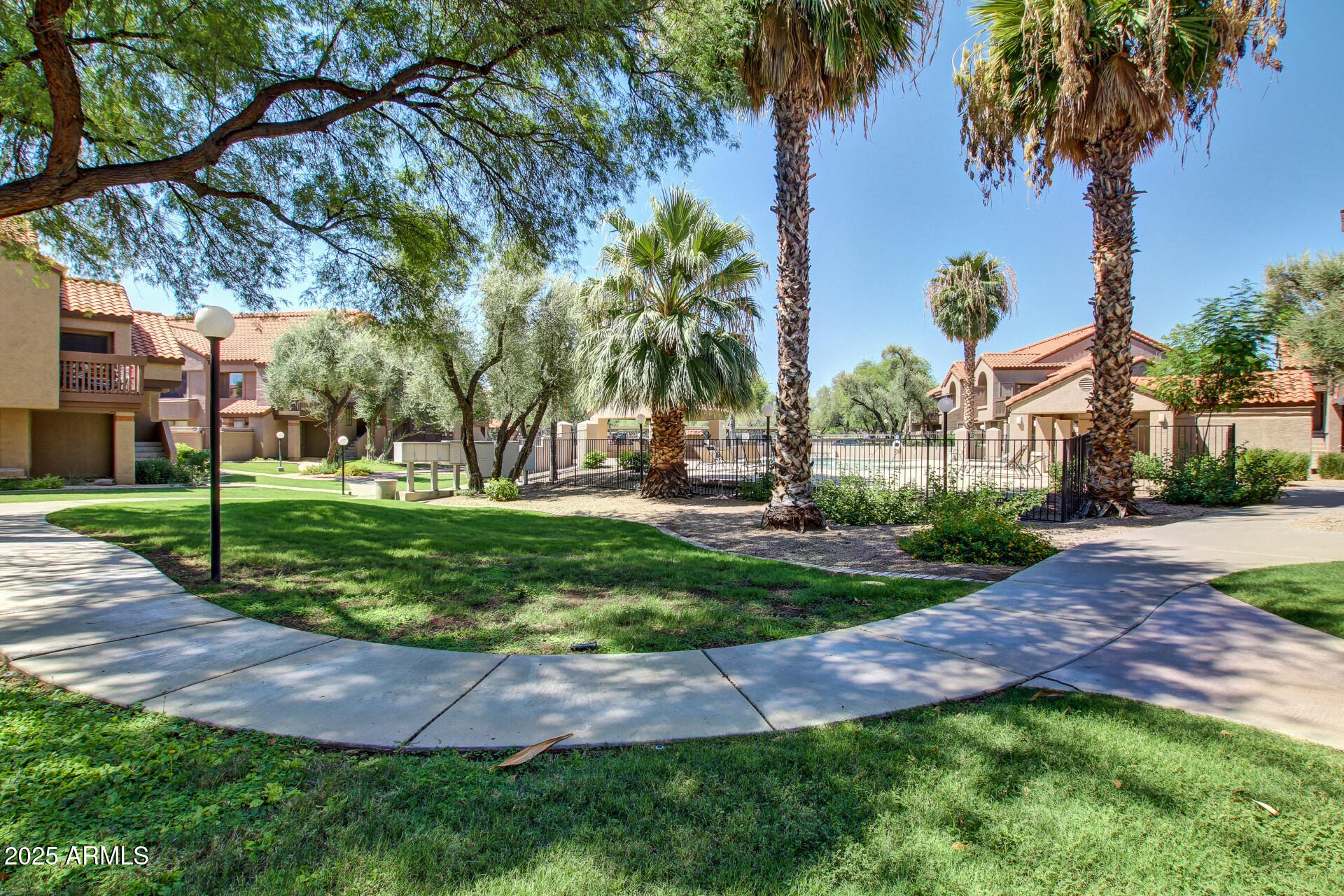 609 East Mesquite Circle, Unit D131 Tempe, AZ 85288 - Photo 29 of 39 a view of a yard with palm trees