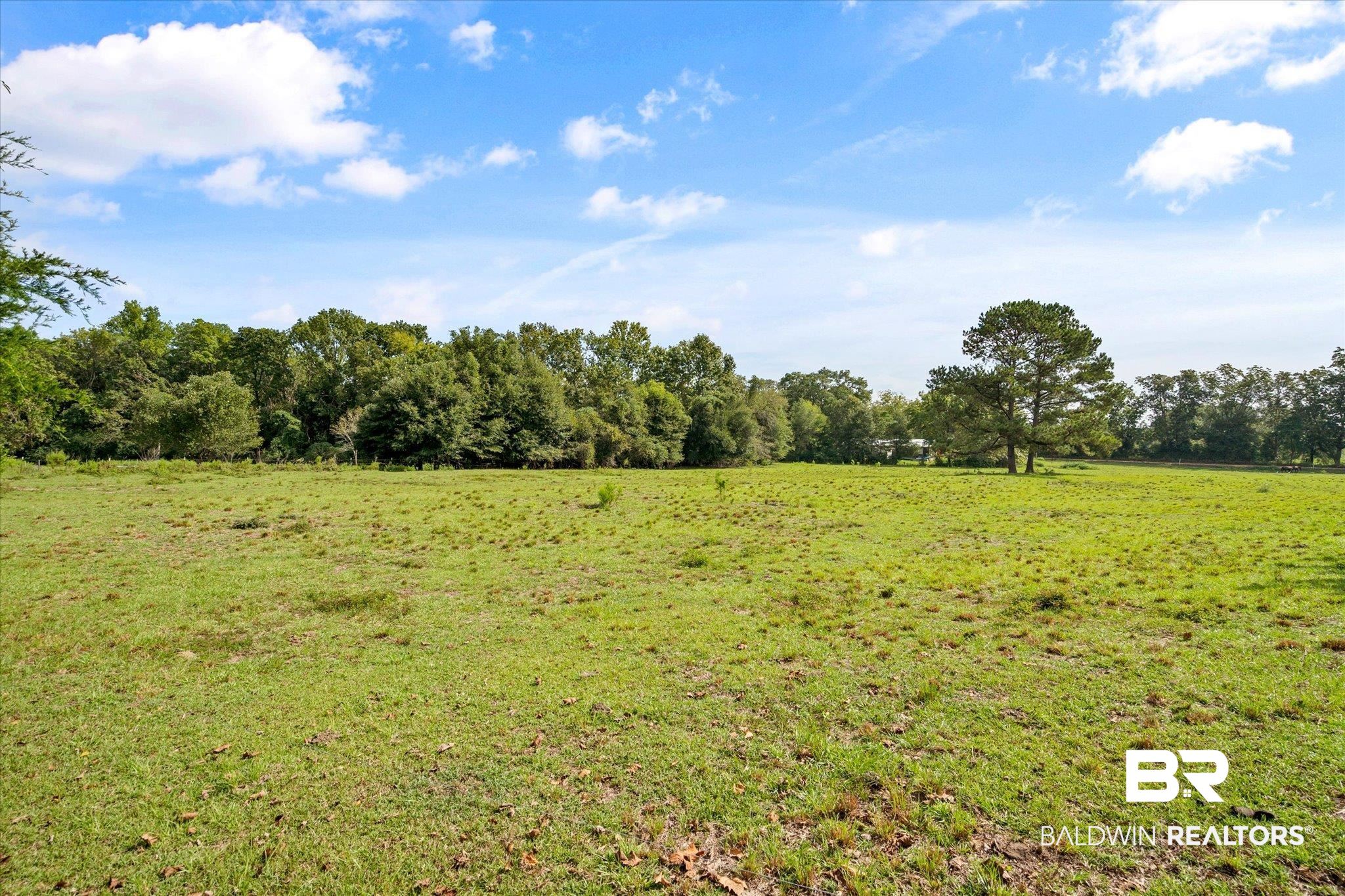 159 Conecuh Road Castleberry, AL 36432 - Photo 39 of 48