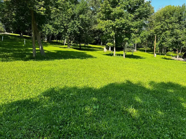 $25,000 | Xxx Xxx Forest, Glenwood, MN 56334