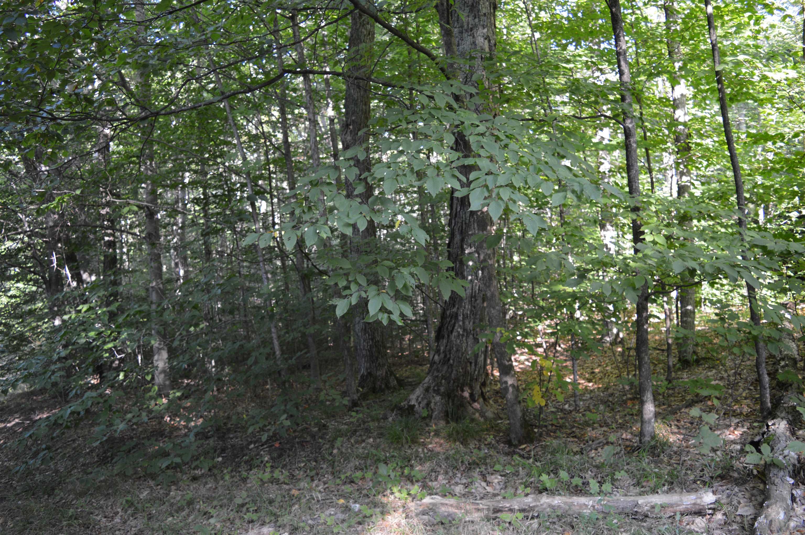 West Leonard Road Mancelona, MI 49659 - Photo 27 of 28 Gallery Image 27
