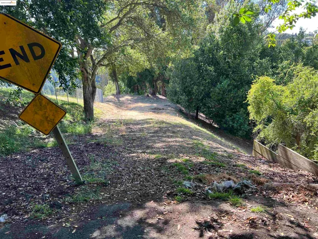 a view of a yard with plants and trees