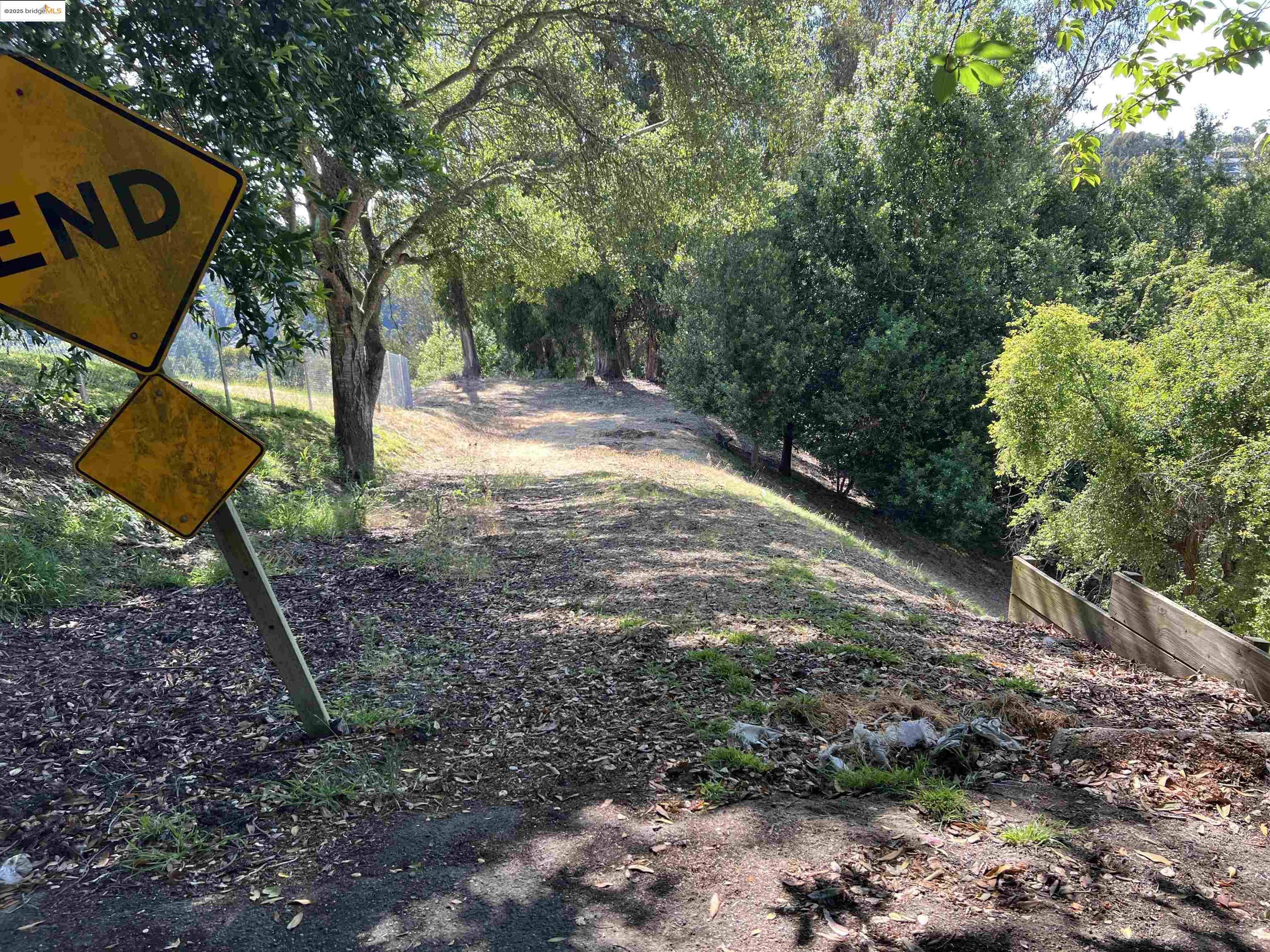 a view of a yard with plants and trees