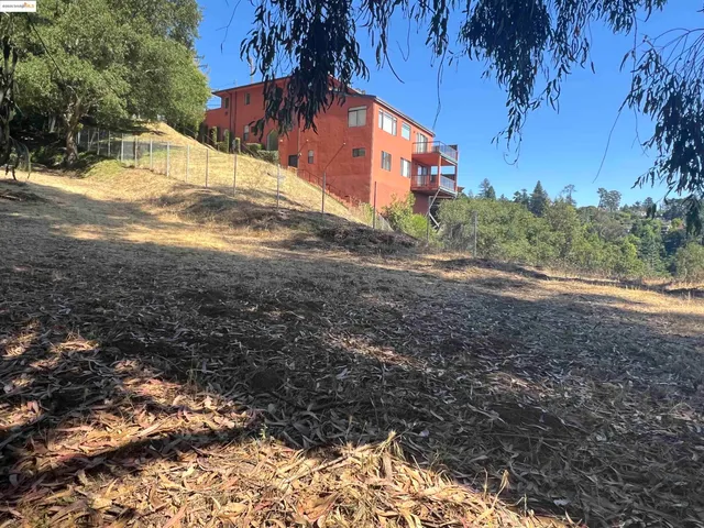 a view of a yard with plants and a large tree