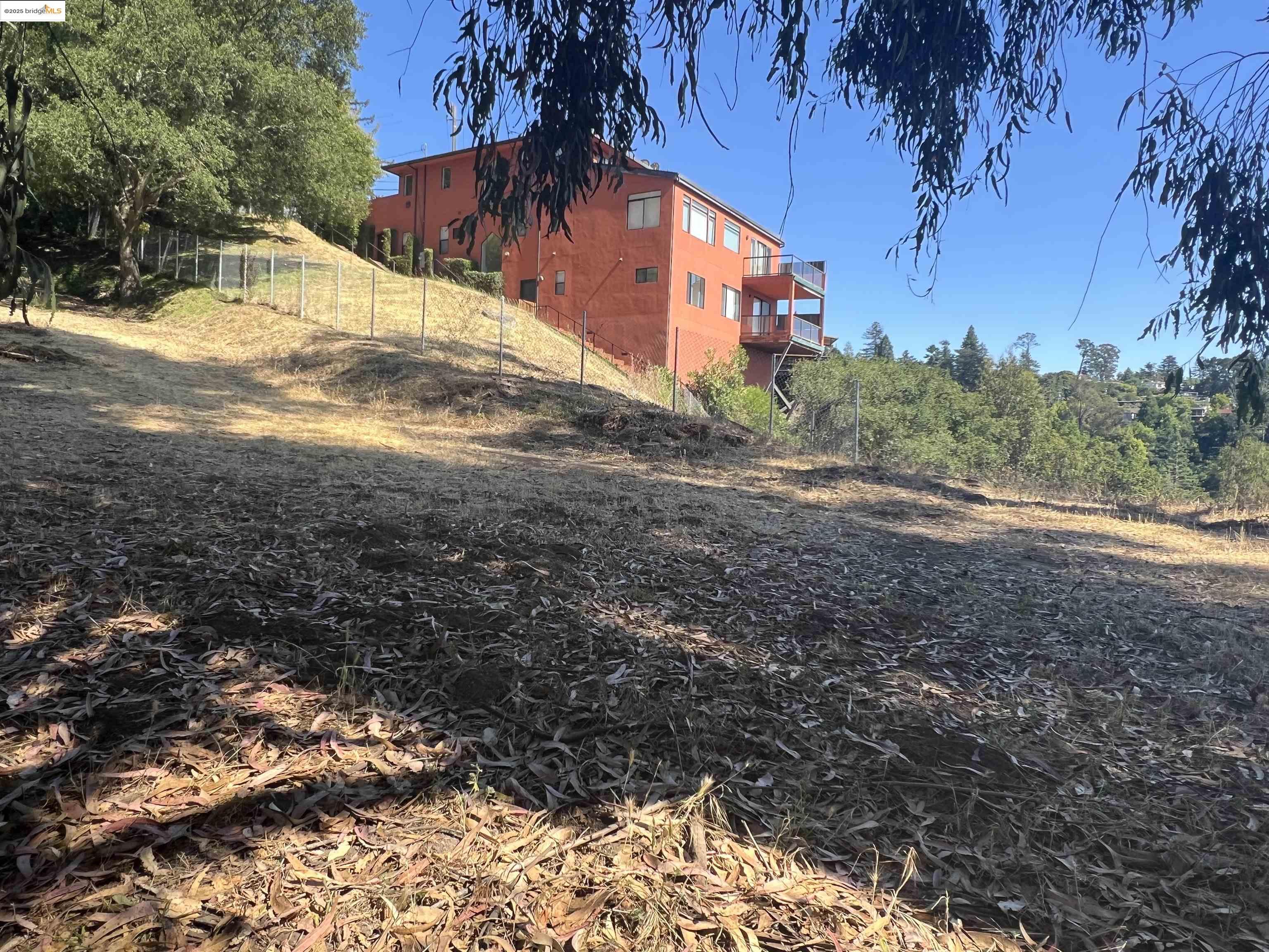 82 Oakwood Court Oakland, CA 94611 - Photo 2 of 9 a view of a yard with plants and a large tree