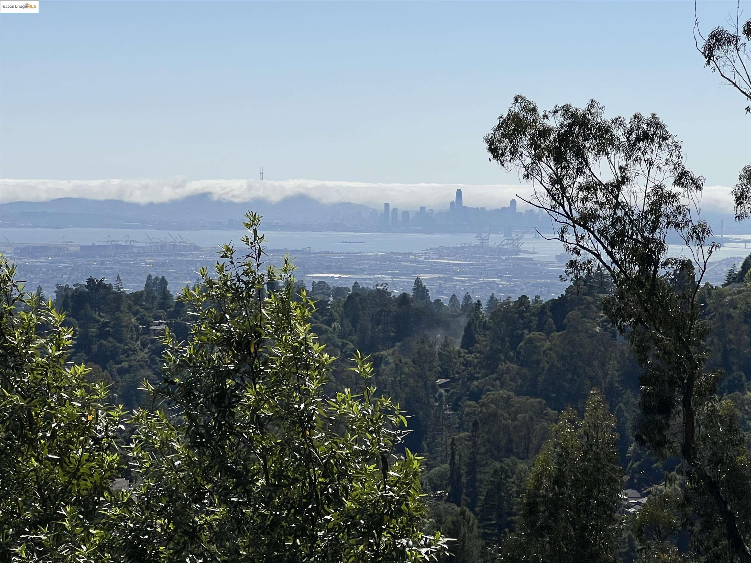82 Oakwood Court Oakland, CA 94611 - Photo 6 of 9 a view of a yard