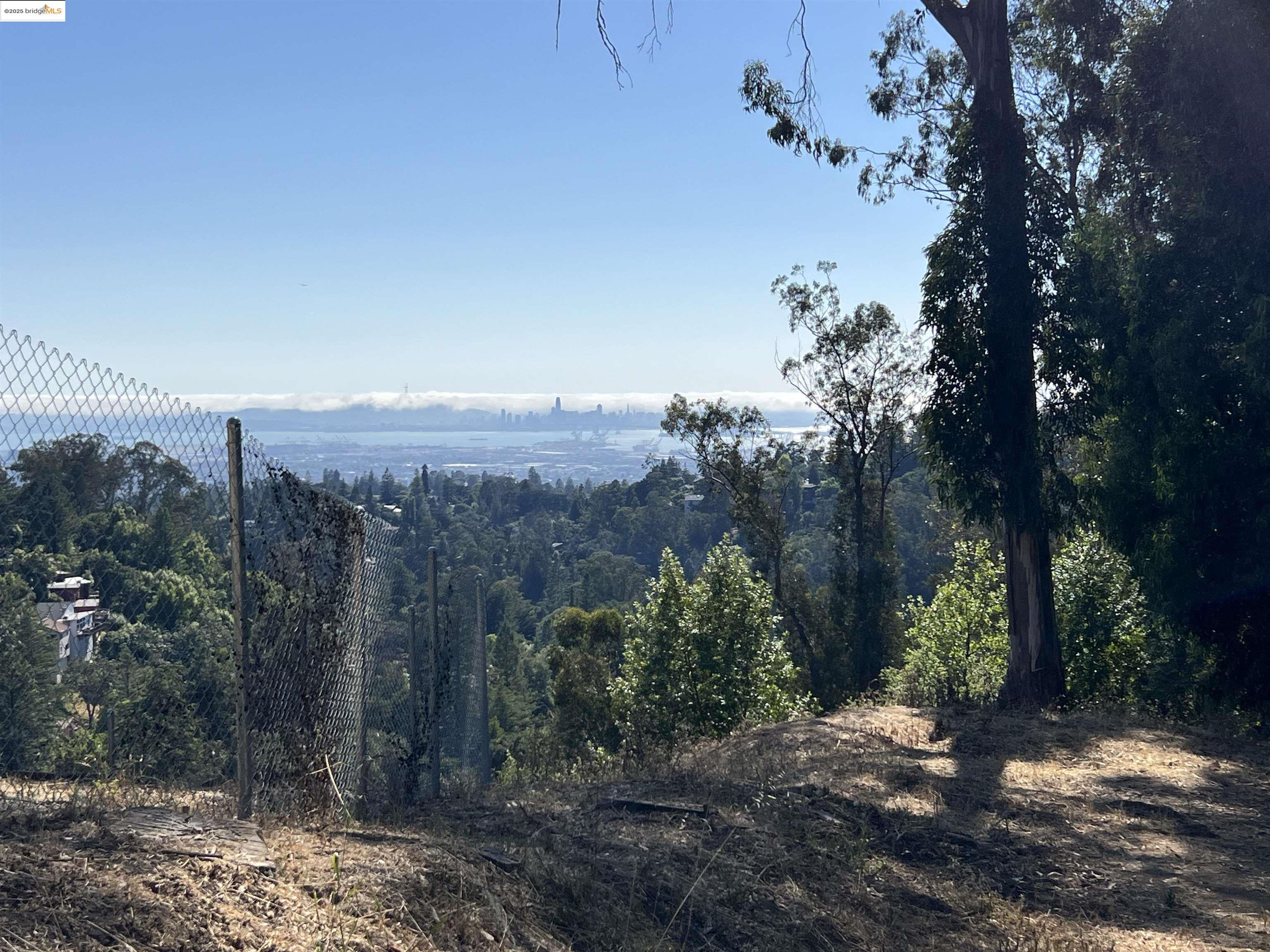 82 Oakwood Court Oakland, CA 94611 - Photo 7 of 9 a view of a dry yard with trees in the background