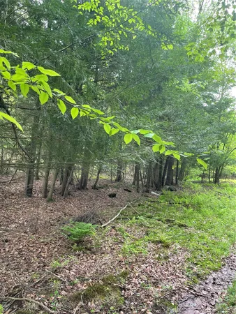 a view of a play ground