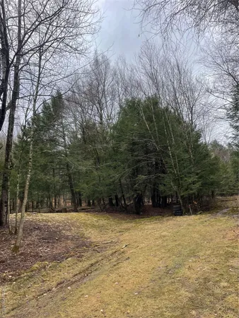 a view of outdoor space