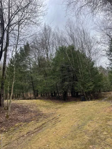 a view of outdoor space