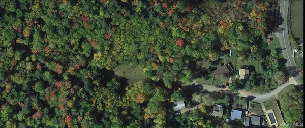 a view of a lush green forest
