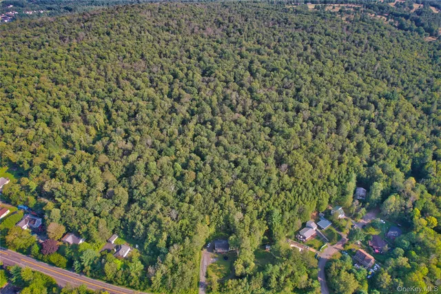 a view of a yard with a plant